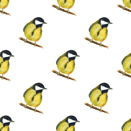 Seamless pattern with tomtits on white background. Good design for textile, wrapping paper, backdrop or wallpaper.の写真素材