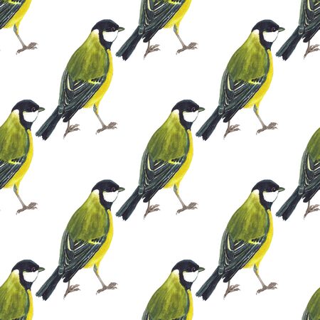 Seamless pattern with tomtits on white background. Good design for textile, wrapping paper, backdrop or wallpaper.の写真素材