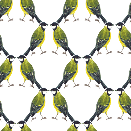Seamless pattern with tomtits on white background. Good design for textile, wrapping paper, backdrop or wallpaper.の写真素材