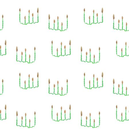 Seamless pattern with abstract green plants on white background. Good design for textile, wrapping paper, backdrop or wallpaper.の写真素材