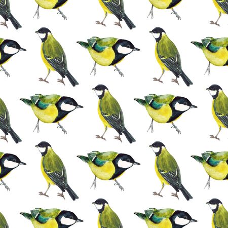Seamless pattern with tomtits on white background. Good design for textile, wrapping paper, backdrop or wallpaper.の写真素材