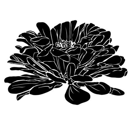 Hand drawn dahlia silhouette for decoration design. Flower icon. Floral logo. Summer vector illustration.のイラスト素材