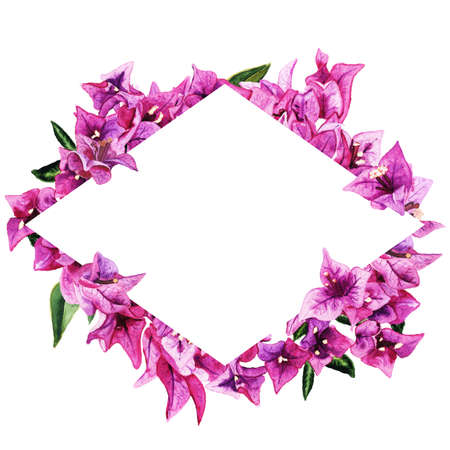Frame with watercolor bougainvillea flowers isolated on white backgroundの写真素材