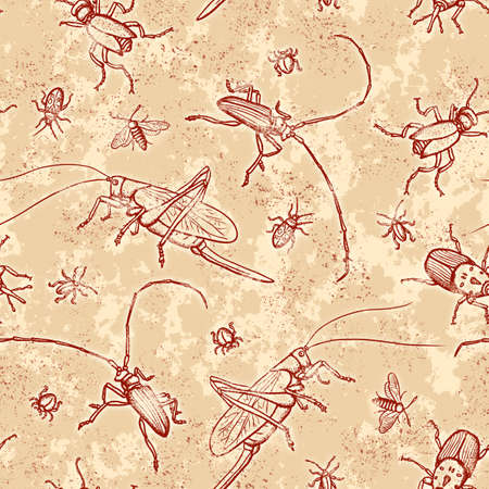 Vintage seamless pattern with different beetlesの写真素材