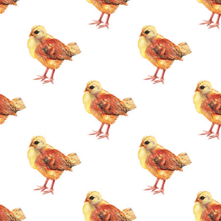 Seamless pattern with watercolor image of chicken.の写真素材