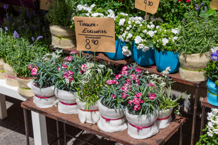 Sale of plants and flower on a marketの写真素材