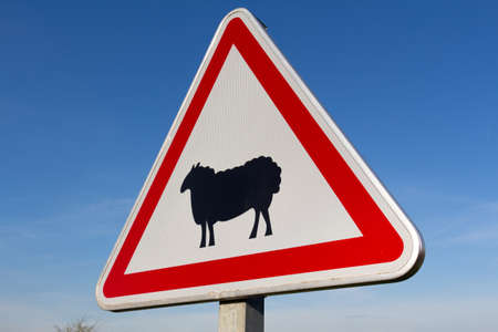 Sign indicating the presence of sheepの写真素材