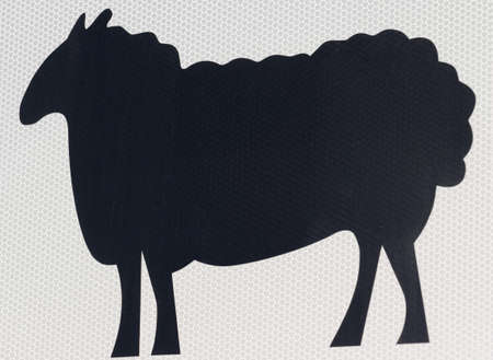 sheep drawingの写真素材