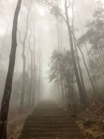 Misty morning hiking in the mountains in an autumn dayの写真素材