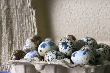 A large carton of several quail eggs, on a cloth and wooden board background.の写真素材