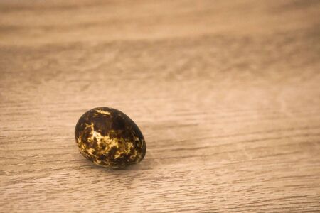 A single quail egg on a wooden board background.の写真素材