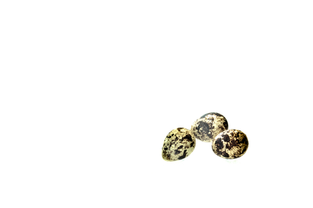 Three quail eggs on an all white background.の写真素材