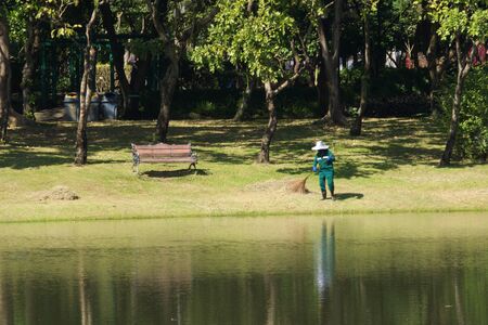 Gardener working hard sweeping grass in a public park in Bangkok, Thailand.の写真素材