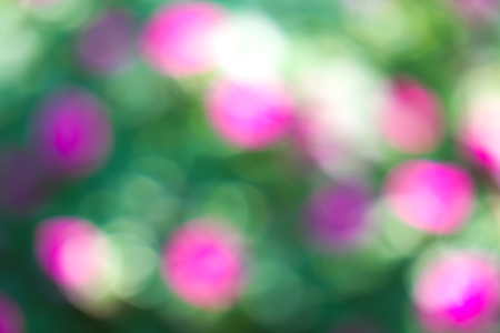 An amazingly beautiful, special flower bokeh, lens blur effect, for a lovely Valentine's Day remembrance; a landscape shot, in a stunningly gorgeous garden park in Bangkok, Thailand.の写真素材