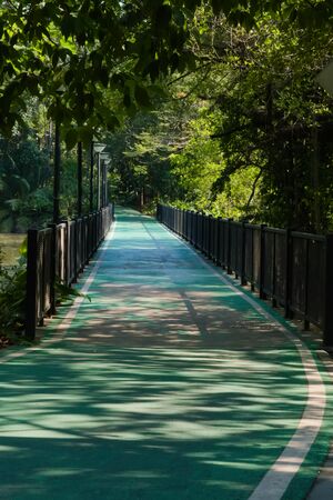 A beautiful fitness trail bridge for running or biking, spanning a lovely pond, in a lush, tropical garden park, in Bangkok, Thailand.の写真素材