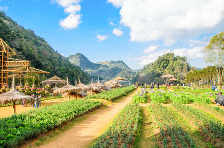 Doi Angkhang is tourist attraction in Thailandの写真素材