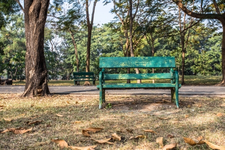 Old empty recycle wooden bench  in the parkの写真素材