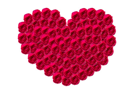 Flowers Heart on a white の写真素材