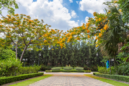 The walk in the parkの写真素材