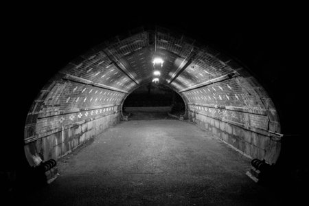 A moody black and white photo of a historic brick tunnel in Central Park, Manhattan. The curved architecture and overhead lights create depth and texture, evoking a cinematic and mの写真素材