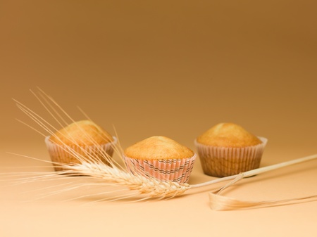 simple muffins baked hidden after an ear of wheat on beige backgroundの写真素材