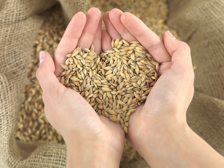 hands holding a heart that wheat over a canvas bagの写真素材