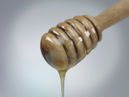 liquid honey dripping from a wooden stick on neutral grey gradient backgroundの写真素材