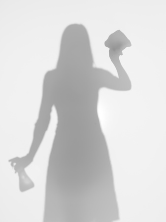 front view of woman holding a liquid detergent container and a rag, cleaning, behind a diffuse surfaceの写真素材