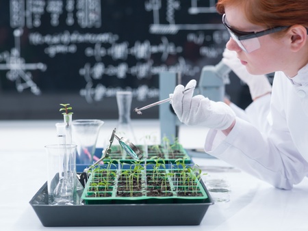 close-up of a student in a chemistry analyzing a bug on a worktable  with seedlings and lab tools and a blackboard on the backgroundの写真素材