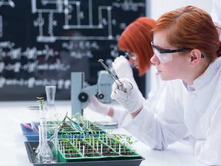 close up of a student in a chemistry lab analyzing a bug on a worktable with lab tools and glassware...