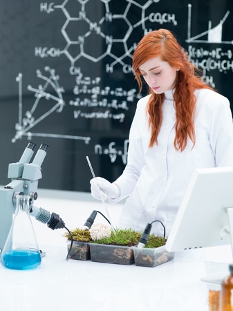 general-view of a student in a chemistry lab conducting a grass experiment on a lab table with blue liquid and lab tools with a blackboard on the backgroundの写真素材
