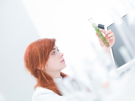 close-up of a woman in a chemistry lab analyzing a tube containing plants and waterの写真素材