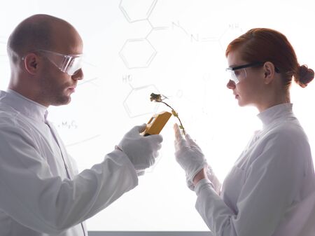 close-up of people scaning plants in a chemistry lab with a white-board on the background