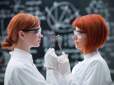 side-view of two women scientists in a chemistry lab compared  analysis between pills and plantsの写真素材