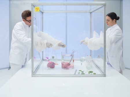 two scientists in the lab, a man and a woman, experimenting on a chunk of raw meat and a dead animal's head sunk in a transparent colorless liquid with biological cultures in a sterile chamberの写真素材
