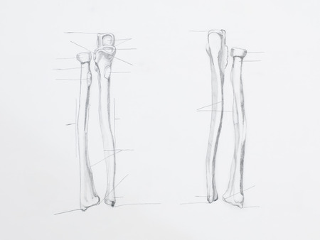 Detail of radius pencil drawing on white paper