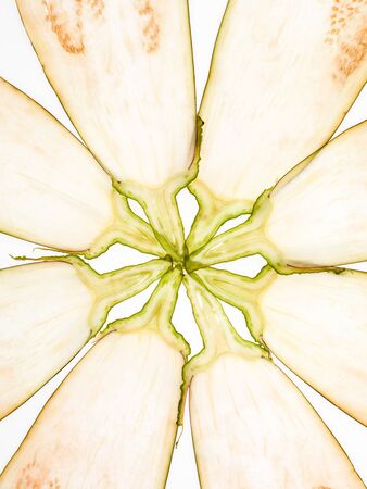 Eggplant slices texture backlit illuminated arranged in the shape of flowerの写真素材