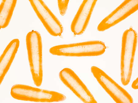 thin carrot slices on white background illuminated backlitの写真素材