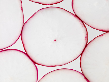texture of thin radish slices backlit illuminatedの写真素材