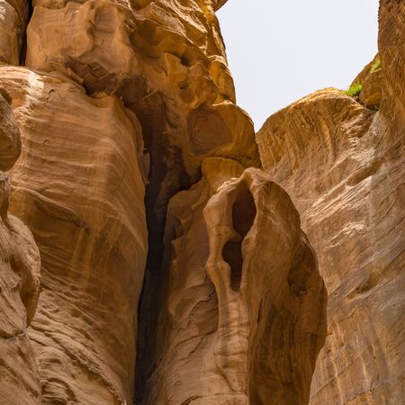The Siq - stone gallery to the hidden city of Petra, Jordan. UNESCO World Heritage Siteのeditorial素材