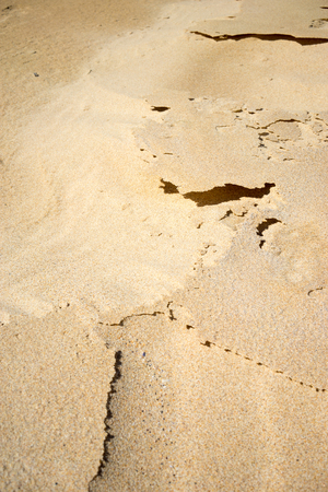 Dried and wet sand textureの写真素材