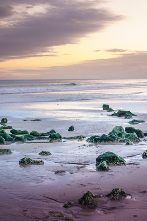 Colorful sea shore with green algae rocksの写真素材
