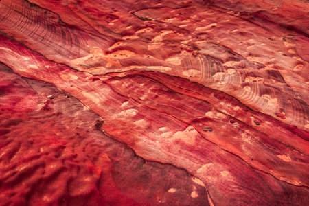 Sandstone texture close up. Red stone texture, mountains of Jordan desert, Petra, Wadi Rum Desert, Jordanの写真素材