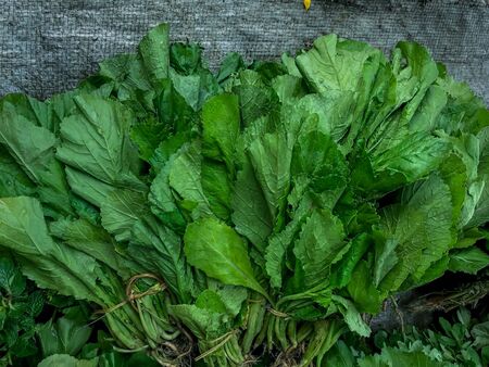Bunch of fresh spinach Indian palak leaf piled up on the market ready to be sold