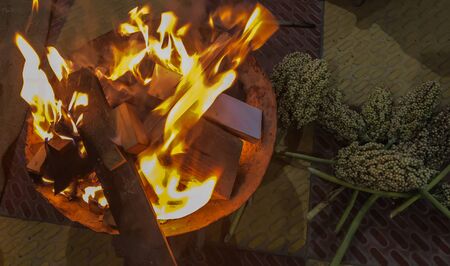 closeup of burning woods and flames in a fire pot with Sorghum Indian jowar flower kept in a corner to grill into the fire during festival shankranti in Indiaの写真素材
