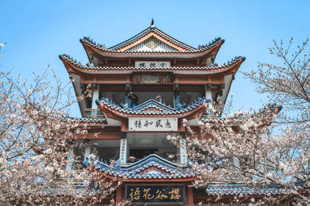 The view of cherry blossoms upstairs and downstairs in Yuantouzhu, Taihu Lake, Wuxiのeditorial素材
