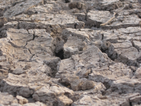 Cracked earthの写真素材
