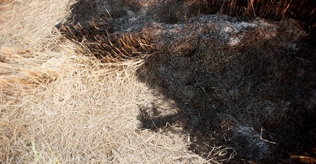 Burned fieldsの写真素材