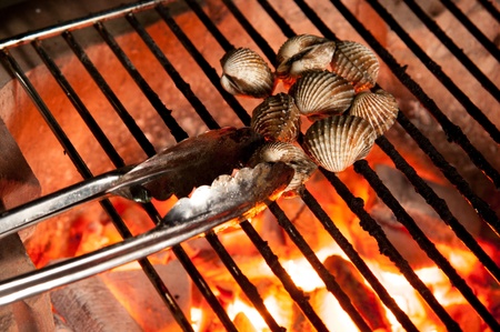 The Grilled cockle on charcoal ovenの写真素材
