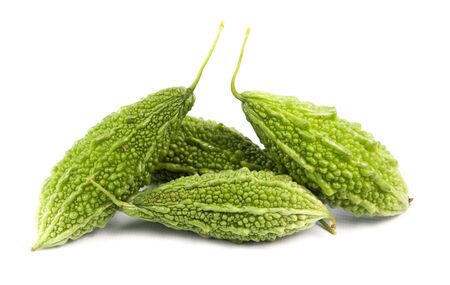 Bitter cucumber, herbal plant isolated on white background.の写真素材
